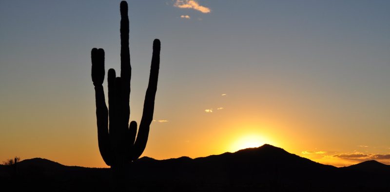 saguaroAZ